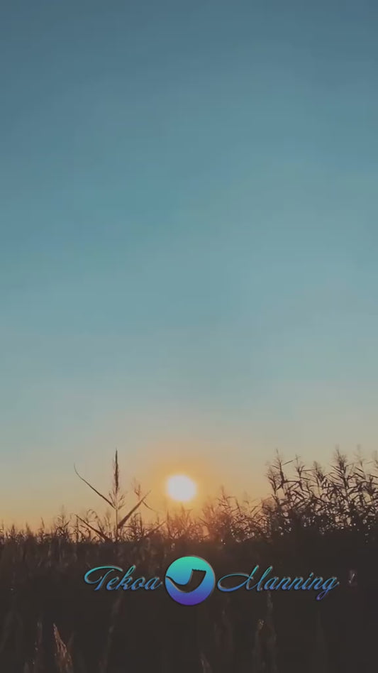 Fiction 2 -Book Bundle, Polishing Jade & Walter, The Homeless Man